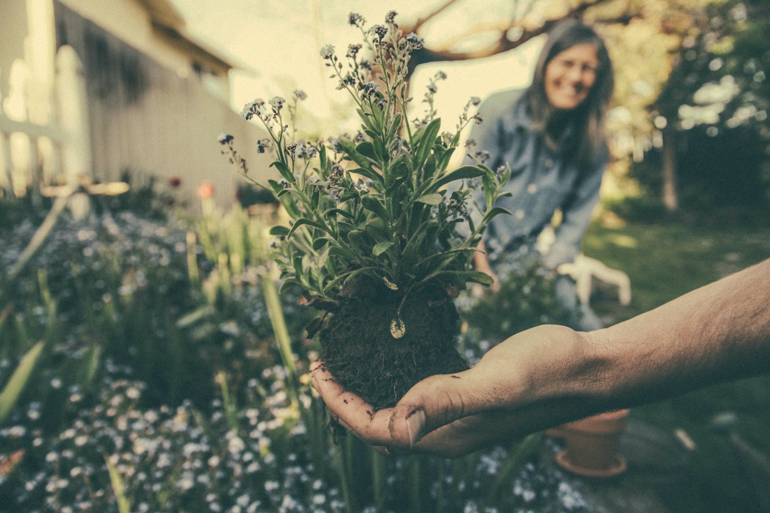Conversation Starter: Wellness Ideas That Aren’t Working Out